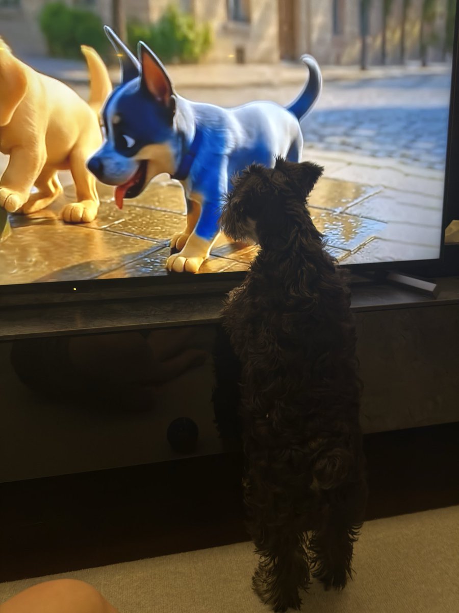 アラホリ@保険屋 tweet media