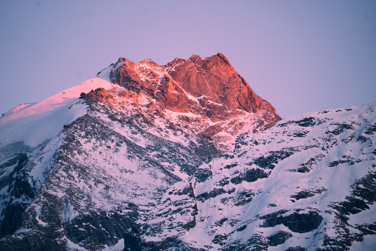 SIGMA India tweet media