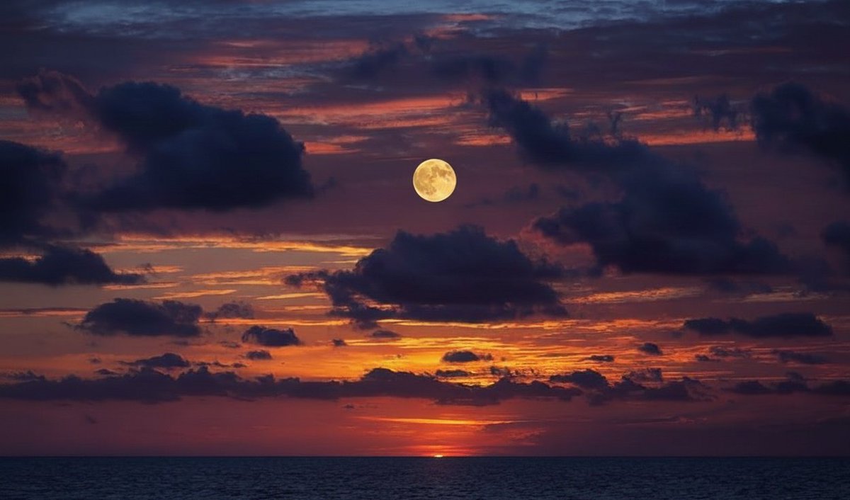 MOON tweet media