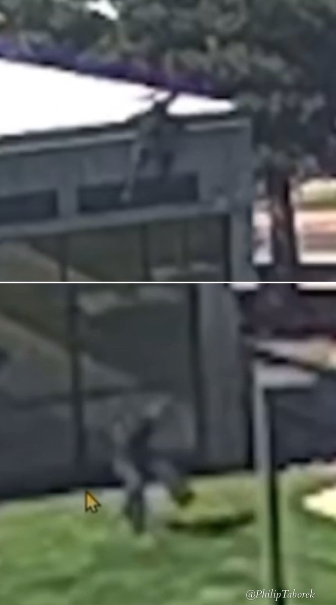 Philip Taborek tweet media