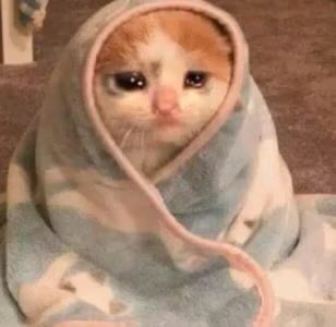 R O X A N N E 🏹🦇🖤 tweet media