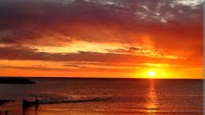 Diego de la Vega. tweet media