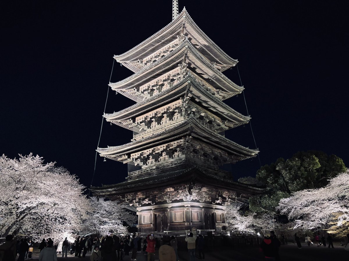 らきちゃ tweet media