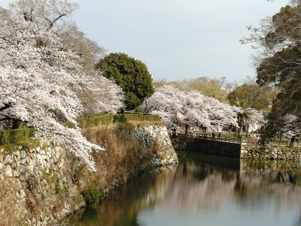 佐藤 宏亮 / サクソフォン奏鶏 tweet media