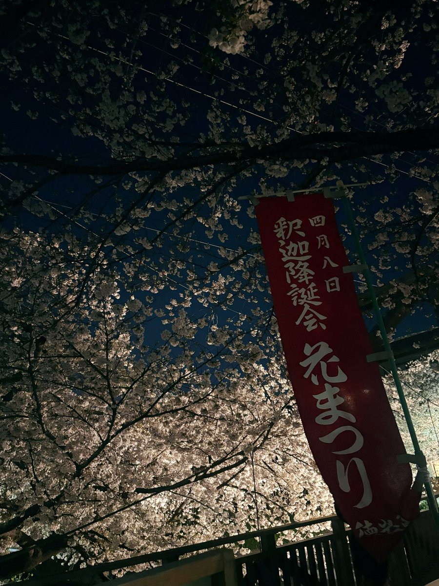 🎀藤井麻莉子🎀 tweet media