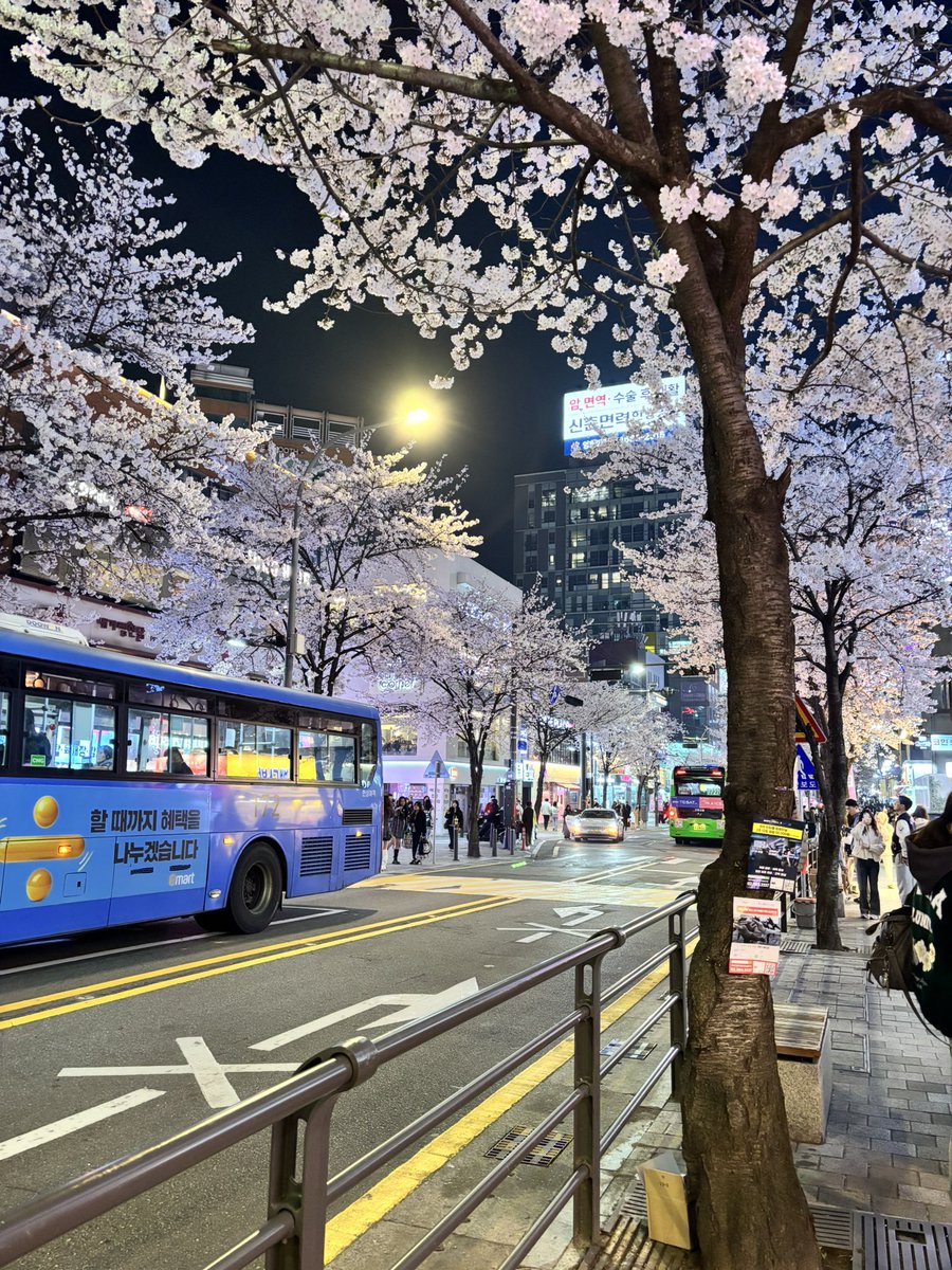 manal 🍮 tweet media