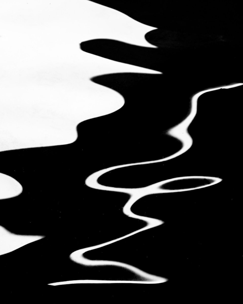 Tara in Abstract 🙃 tweet media