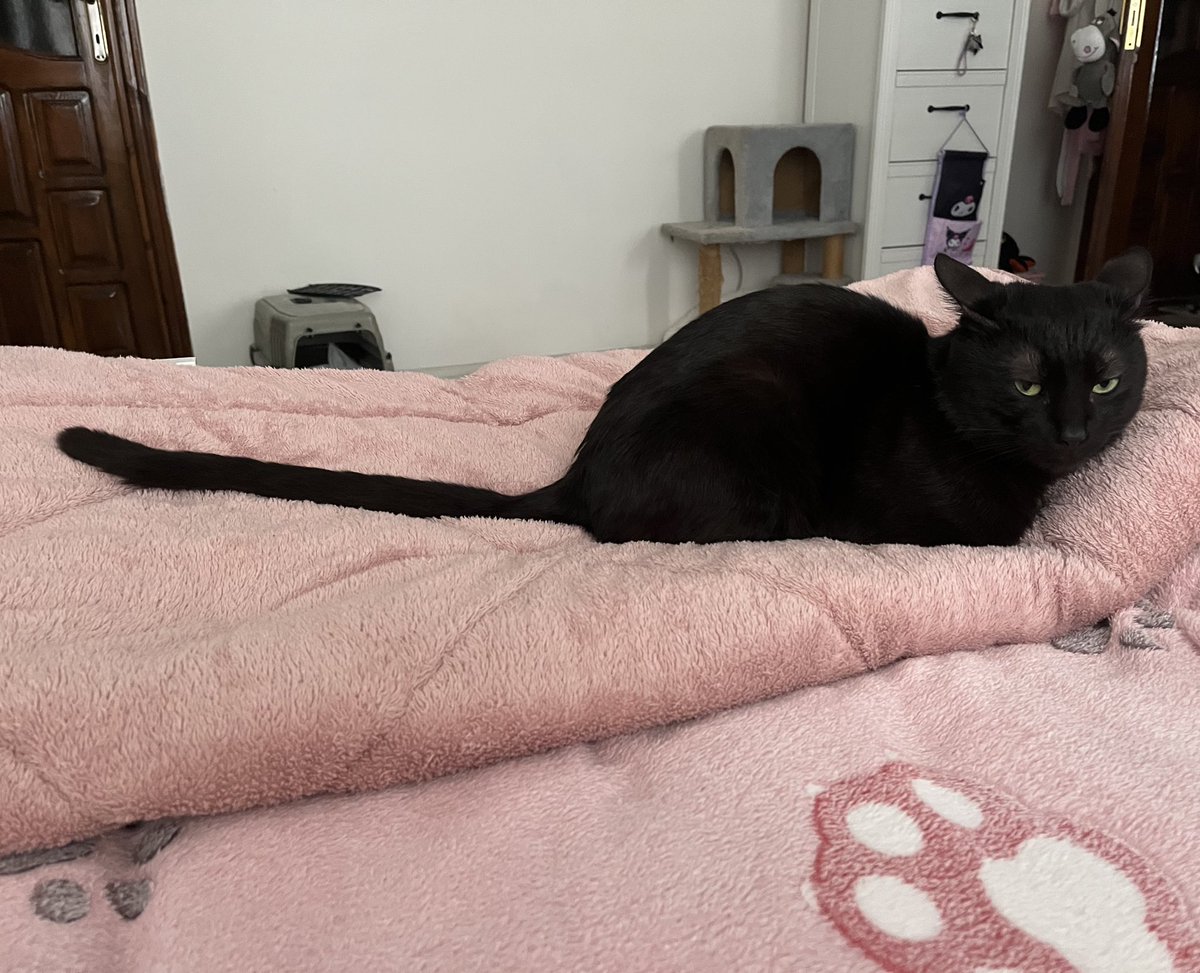 lan sevgilim tweet media