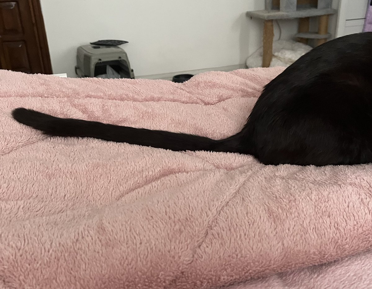 lan sevgilim tweet media