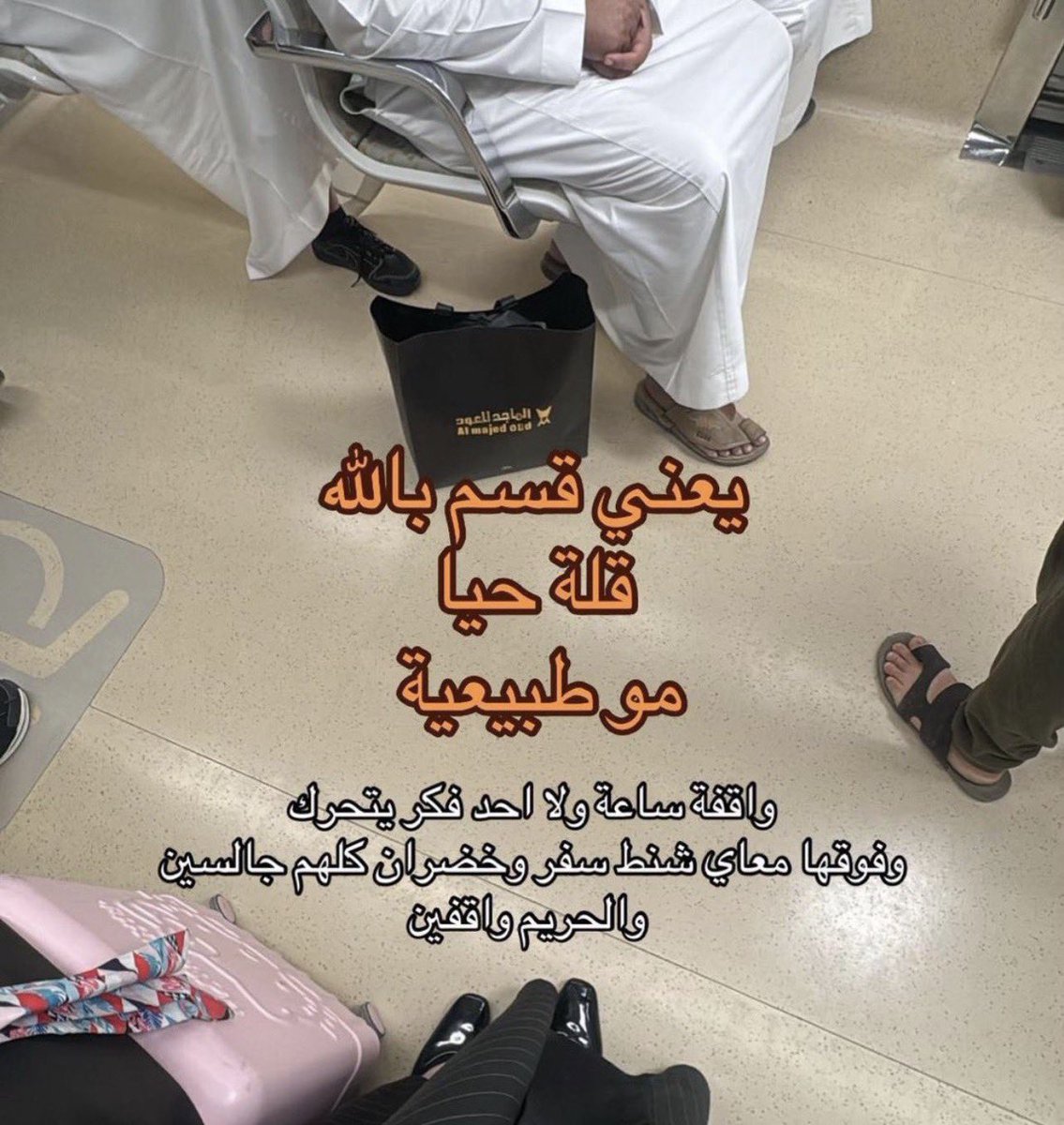 هايل tweet media