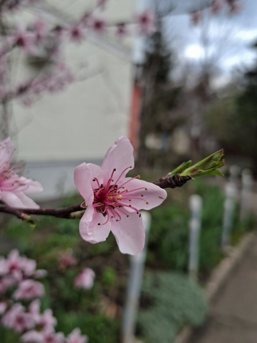 утренняя звезда💫 tweet media