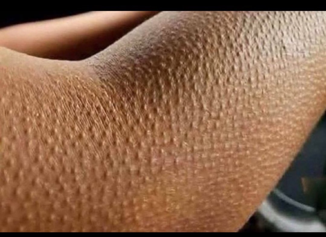 bébé^am tweet media