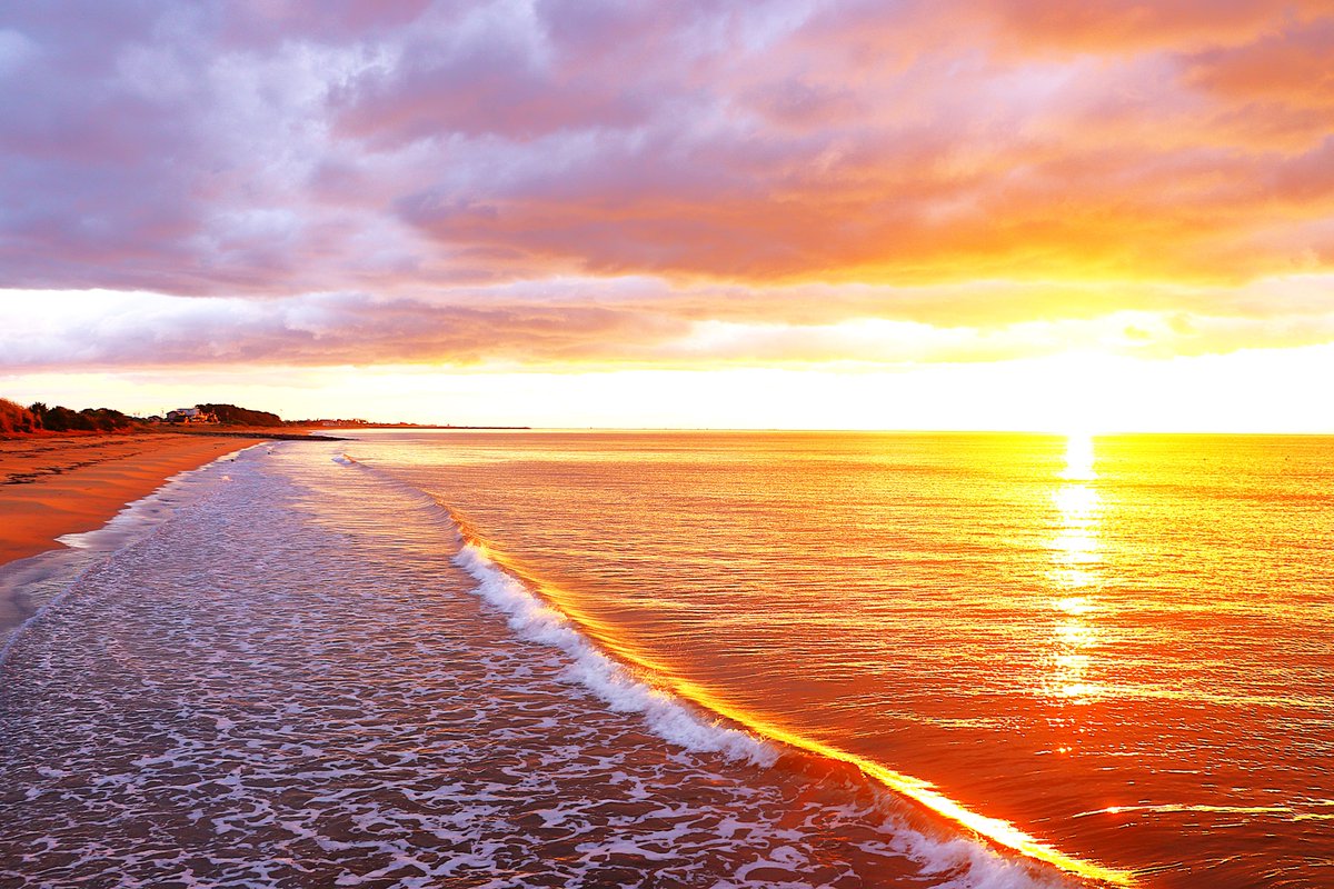 kumejirou202509's tweet image. 4月3日(金）　＃日の出
おはようございます🌅
桜も花吹雪と花筏が綺麗に成ってきましたね
皆様今日もよろしくお願い致します