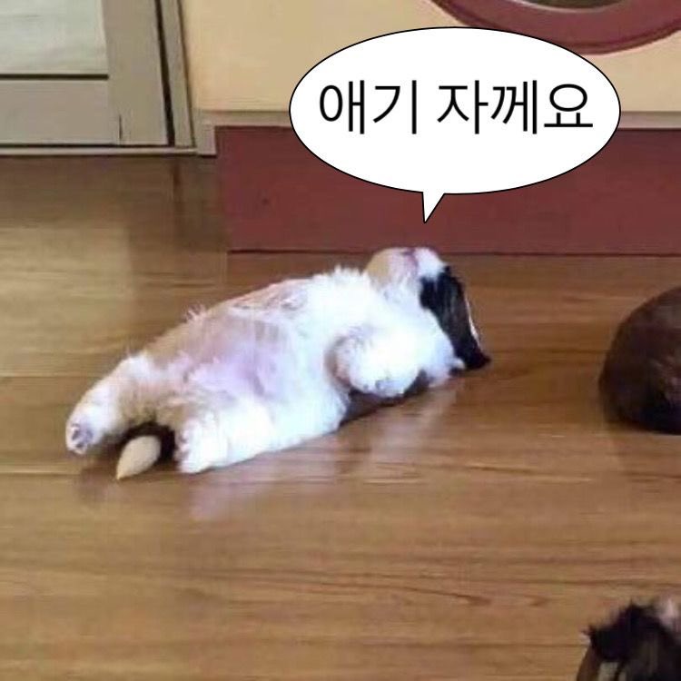 무치👽 tweet media