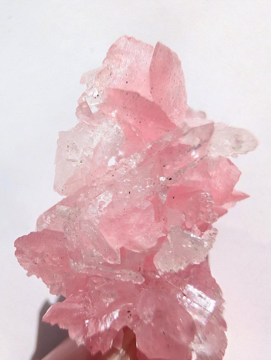 雪⛰️国 tweet media