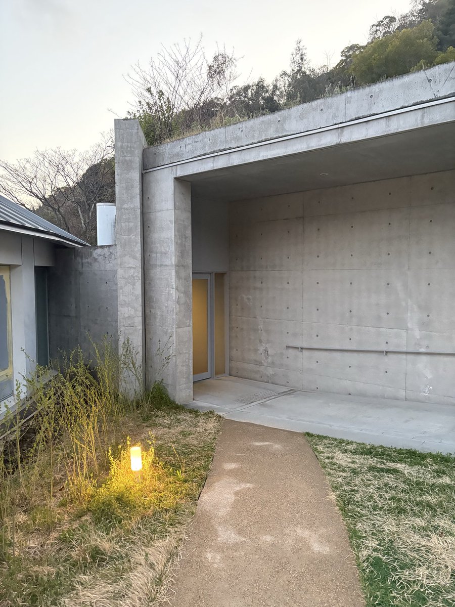 Eli Scheinman tweet media