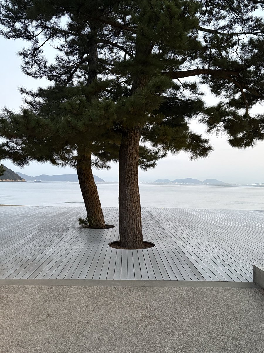 Eli Scheinman tweet media