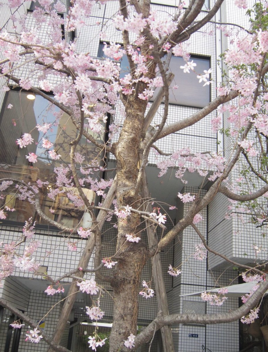 ㅉㄴ⁶⁵ tweet media