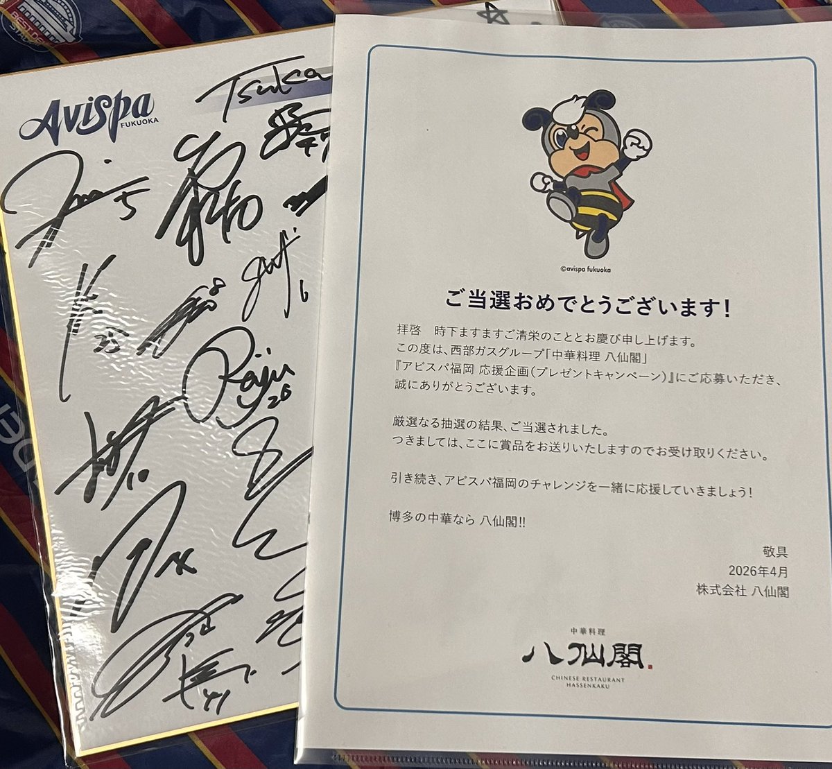 Ku.🐝⭐️ tweet media