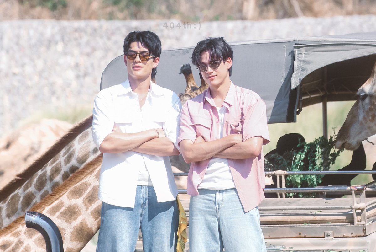 404th 🐻🐧 tweet media