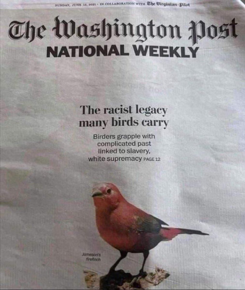 Phairy Megan tweet media