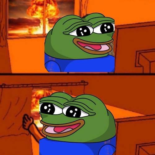 ABOK (🐸) tweet media