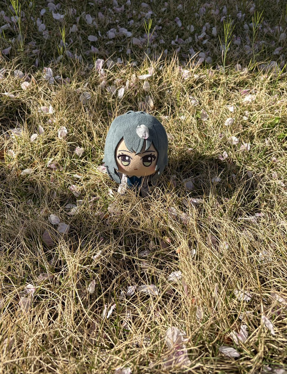 おてまさん tweet media