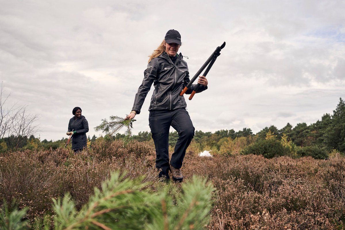 South Downs National Park tweet media