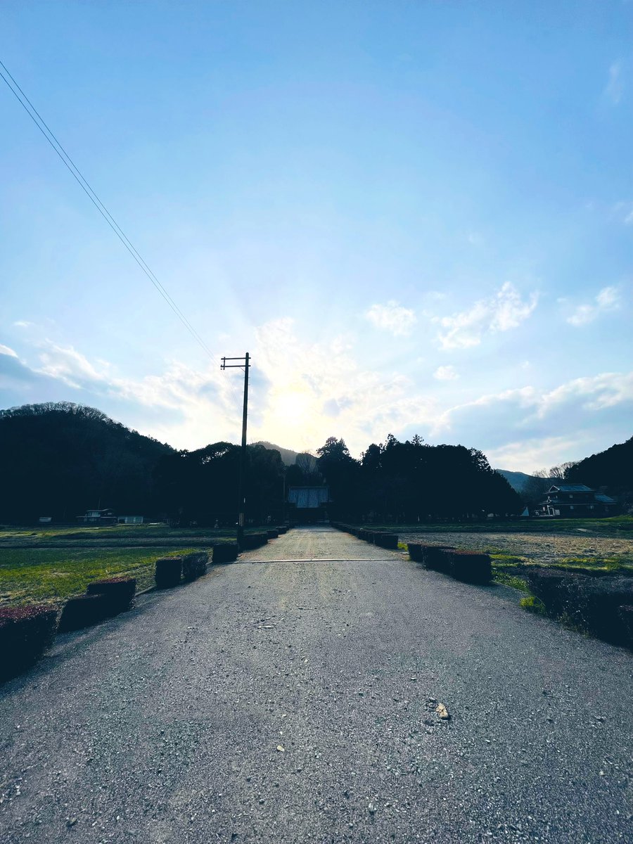 ももの御朱印 tweet media