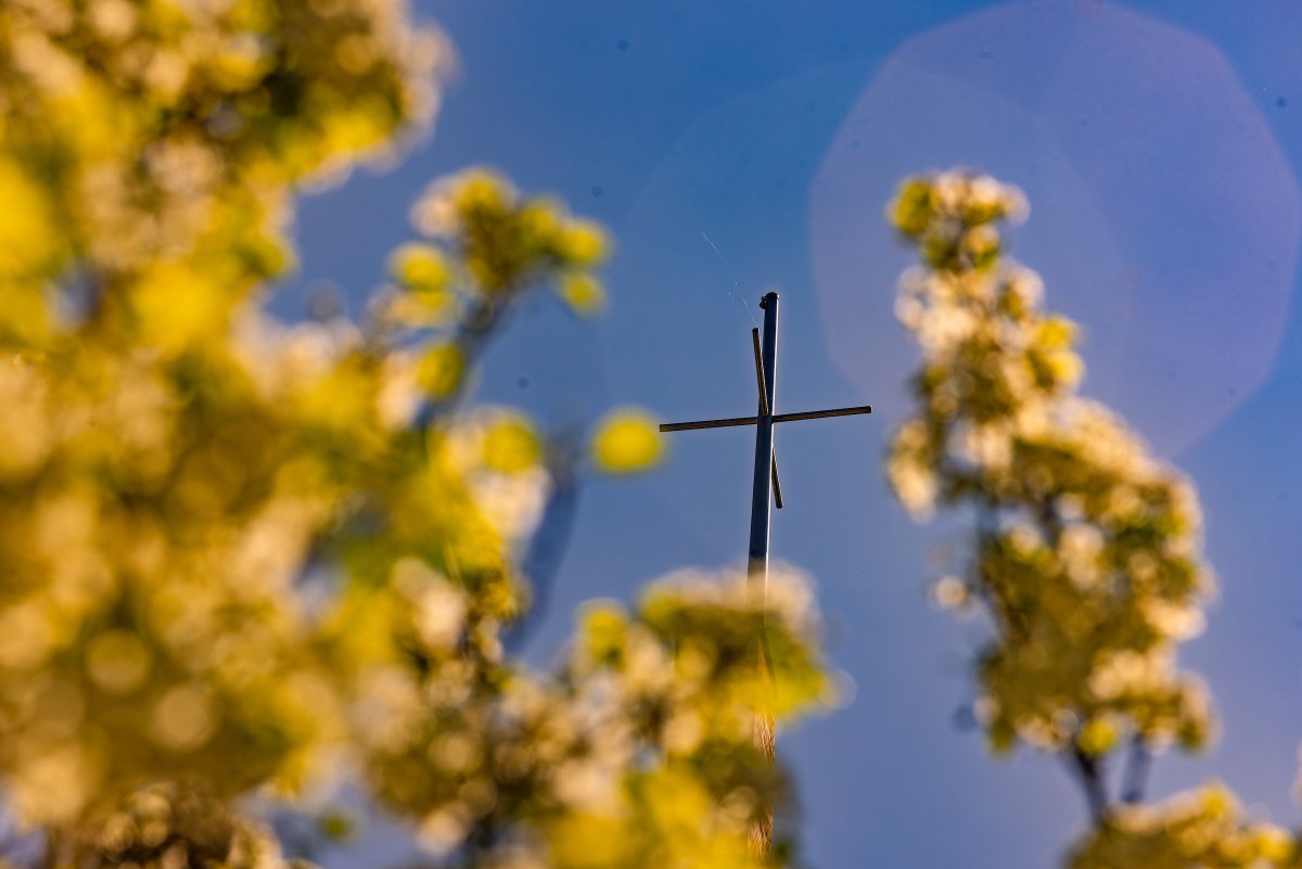 Valparaiso University tweet media