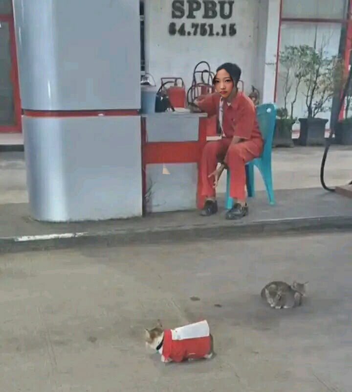 𝐒丅ella ᵈ𝓊𝑜ⓧ𝕀𝐚ภ ᡣ ︠ 𓈒. .𓈒 ︡𐑠 tweet media