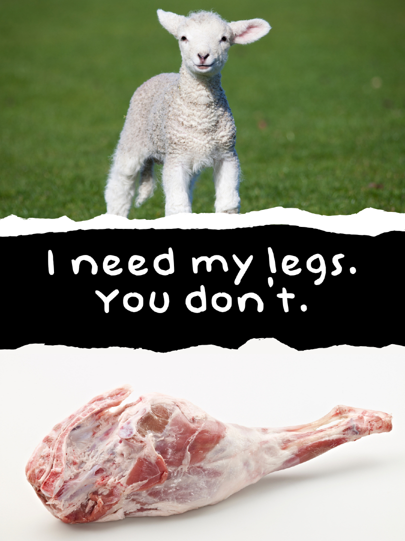 Vegan FTA tweet media