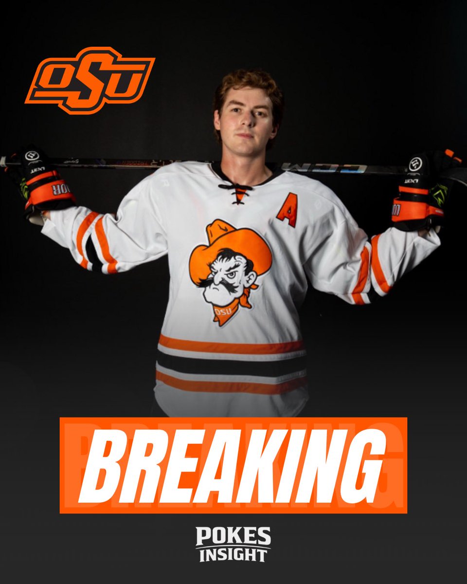 Pokes Insight tweet media