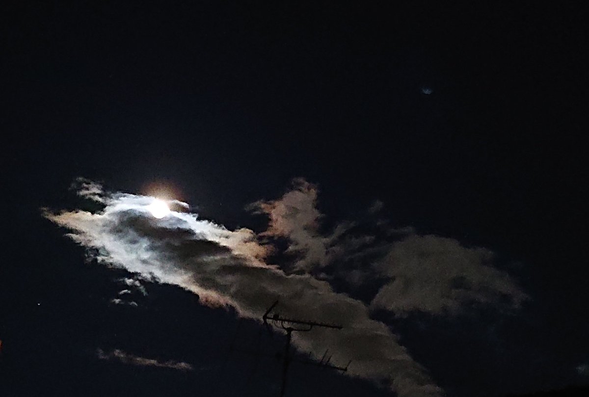 hiro_kero tweet media