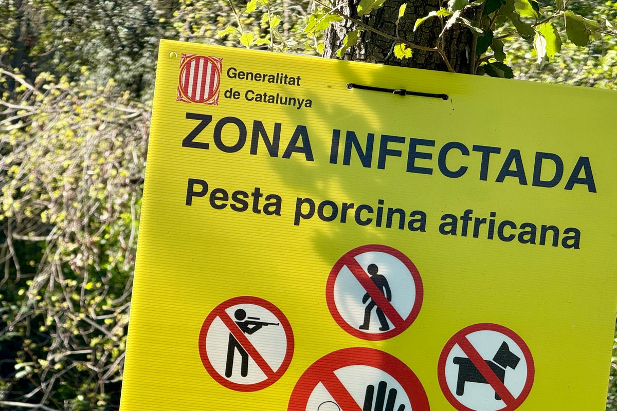 Ràdio Rubí tweet media