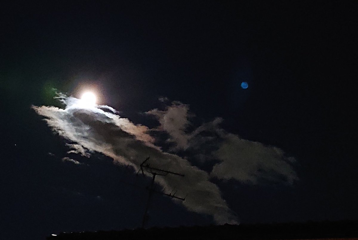 hiro_kero tweet media