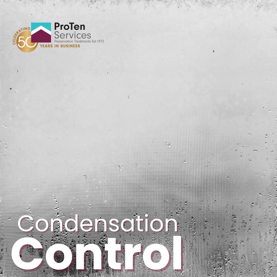 ProTen Services tweet media