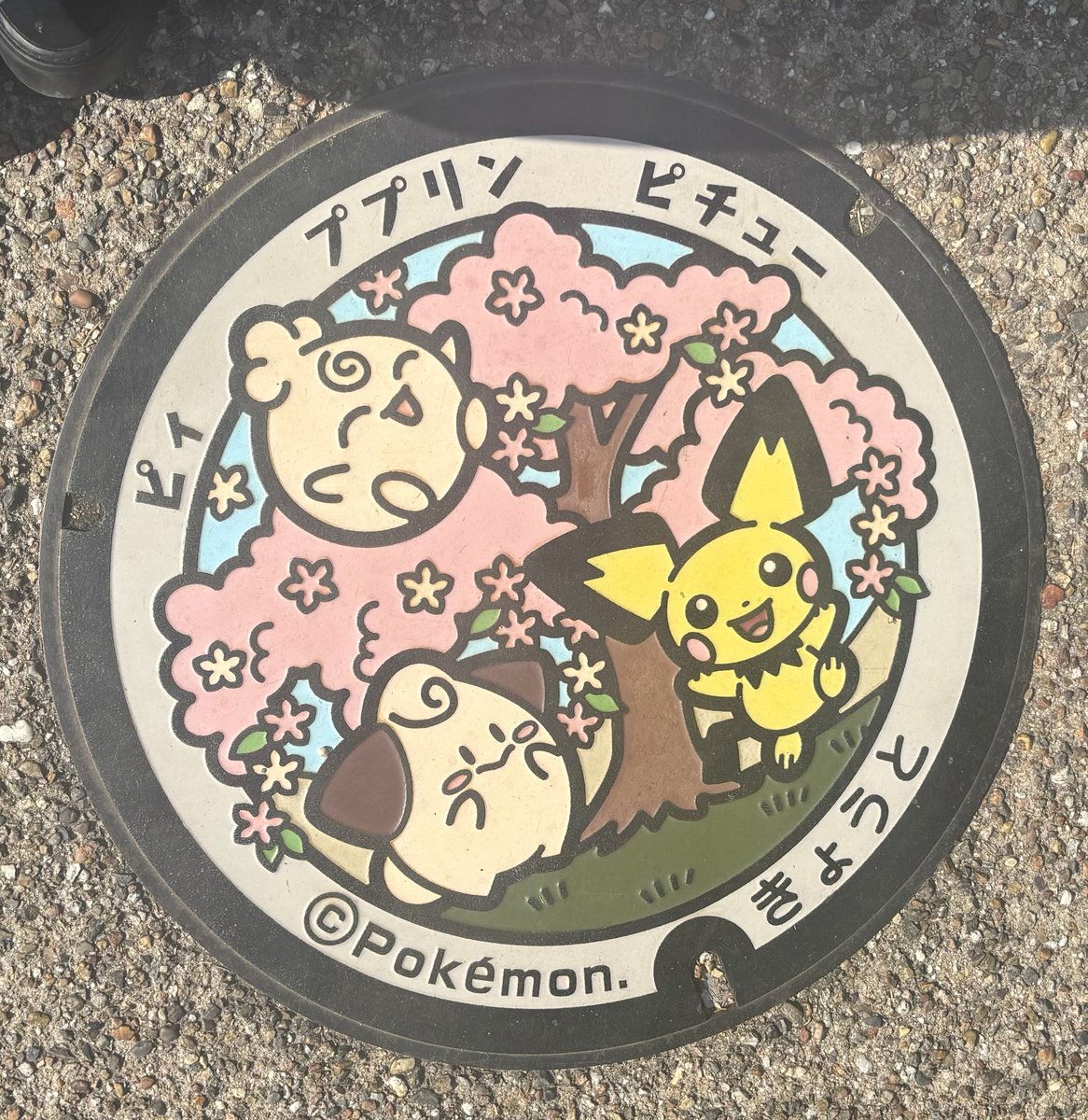 e_gt_'s tweet photo. 京都❗️桜きれかった🌸 https://t.co/r8iIvfSfh2