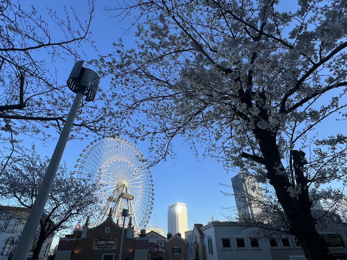 まずりん🍥 tweet media