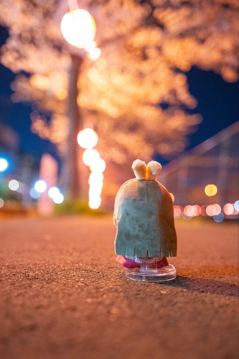 ⭐︎めー/初星音楽祭DAY1 tweet media