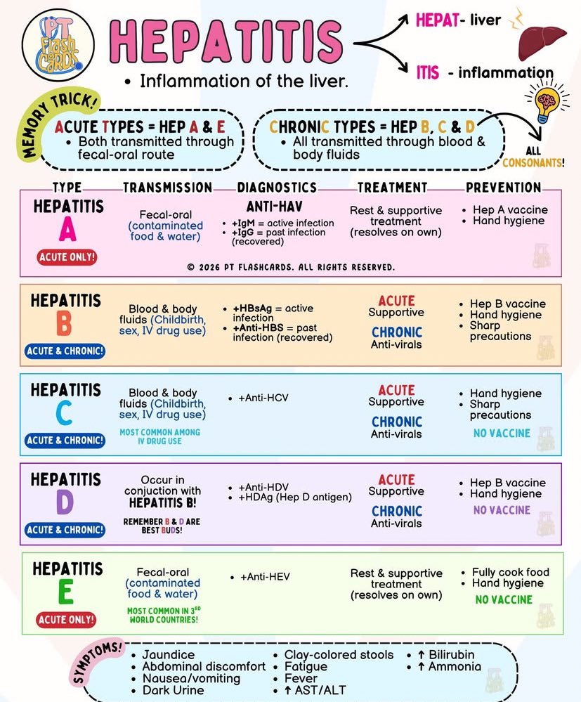 NurseHann100's tweet image. HEPATITIS

#Nursing
#Nclex
#PNLE
#MedTwt
#NursingTwt
#MedX