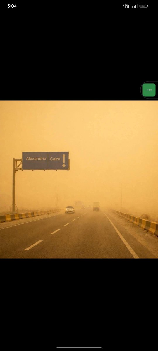 Amany Salah tweet media