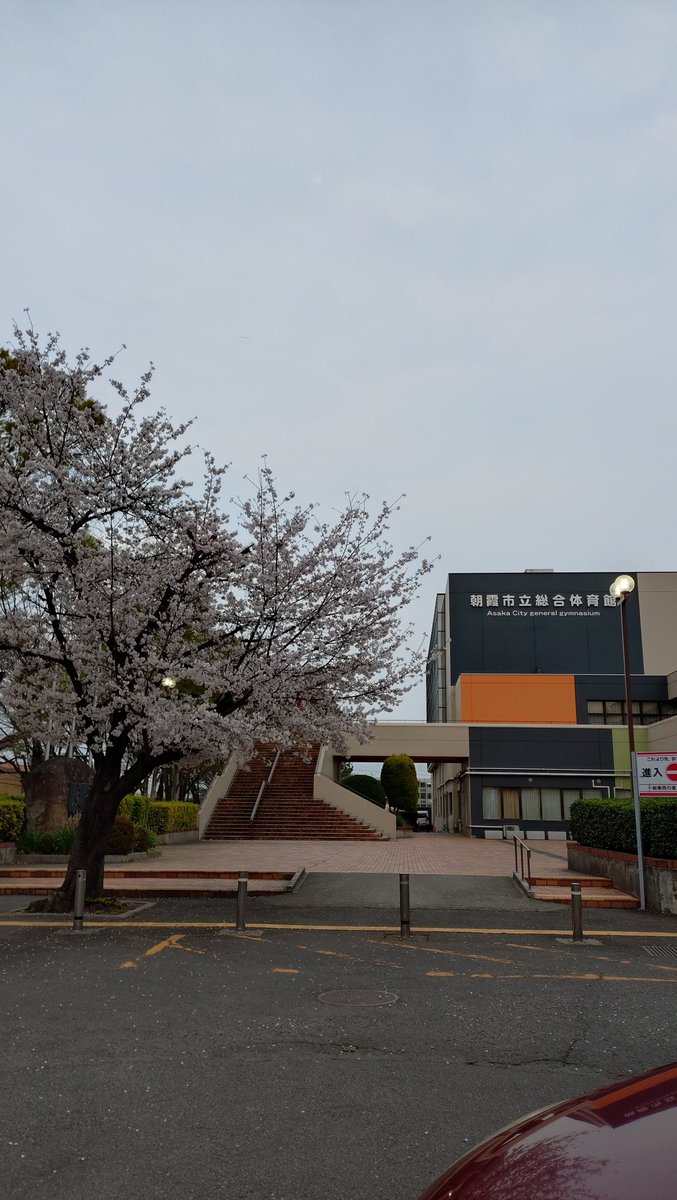 RUSHハンドボールクラブ tweet media