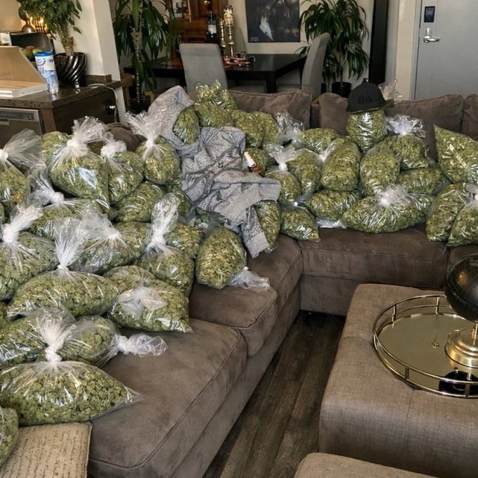 Scott0060385763's tweet photo. “Don’t sleep on Atlanta drop! 🔥 Purple Haze &amp; gas heavy in Atlanta 404/470/678, Sandy Springs, Roswell, Johns Creek, Alpharetta ⛽️ Bulk Purple Haze, discreet. DM "GAS GA" now 💨 #AtlantaWeed #ATLWeed #GeorgiaWeed #PurpleHaze #PurpleHazeGA #GAPlug https://t.co/hGAgtQFlj3