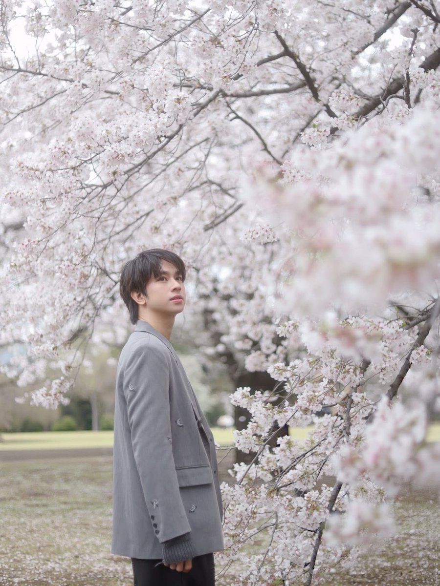 💙🐹🐣 tweet media