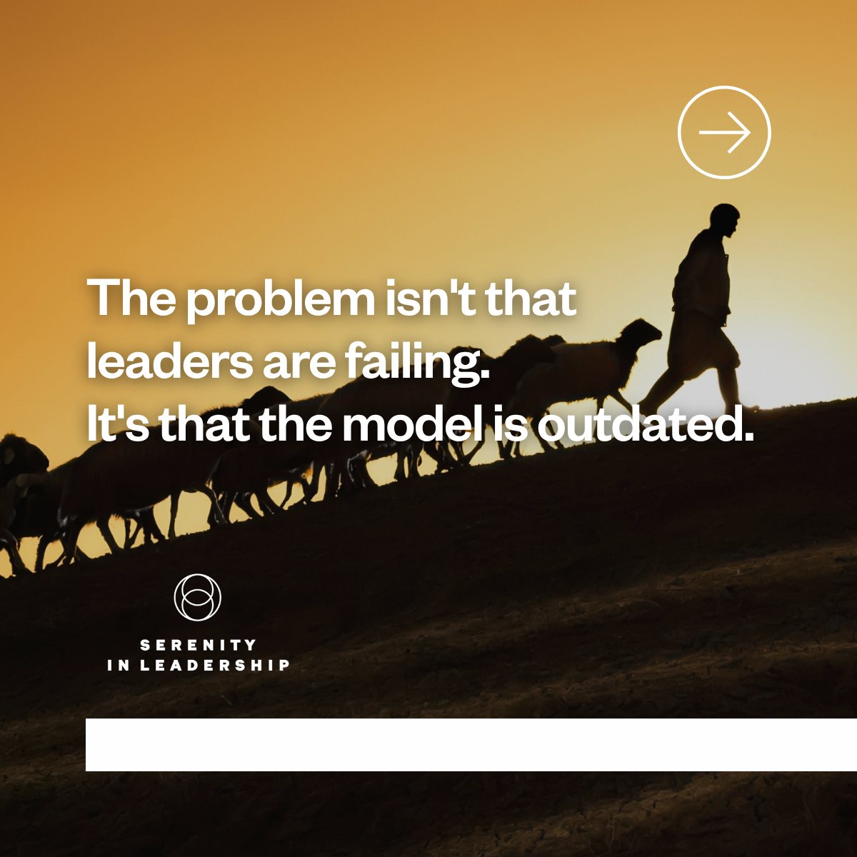 SerenityInLeadership tweet media