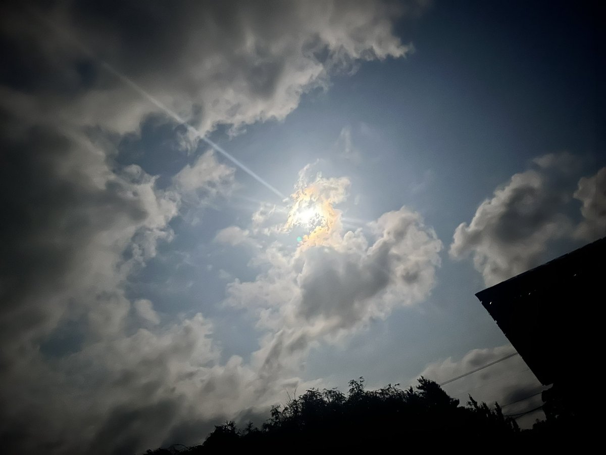 あまね✧︎(🕶) tweet media