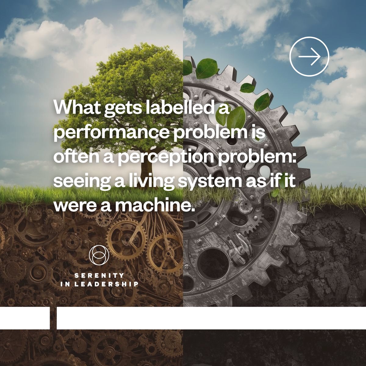 SerenityInLeadership tweet media