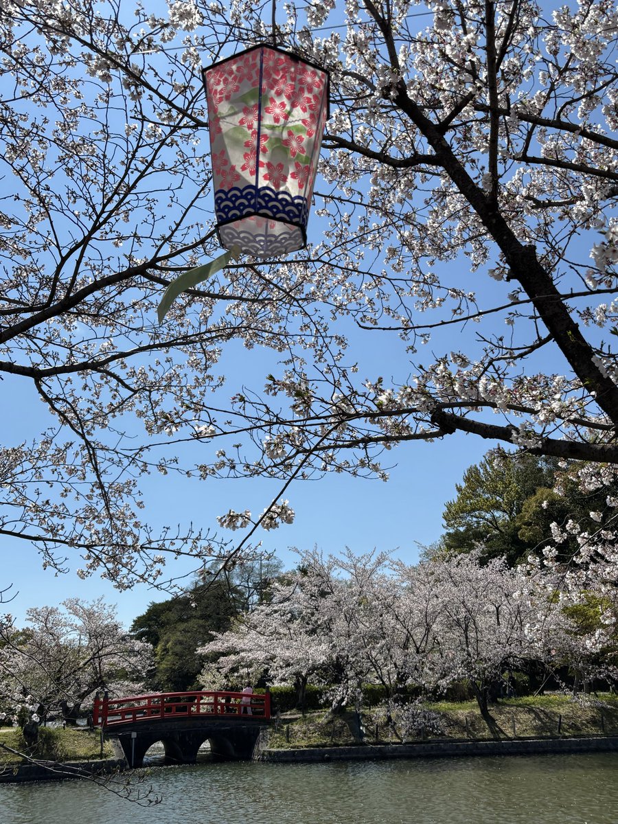 あんはなママ tweet media