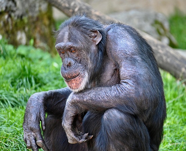 Roy Parrotte tweet media